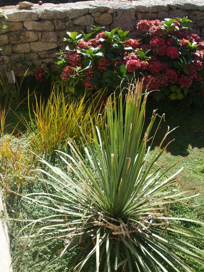 La Sirene Endormie Bed and Breakfast Penmarcʼh Zewnętrze zdjęcie